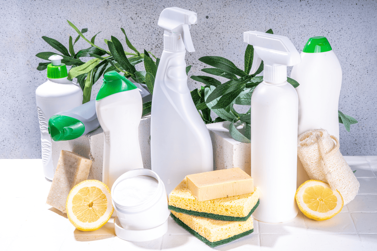 The Hidden Dangers: How Toxic Household Products Impact Our Health